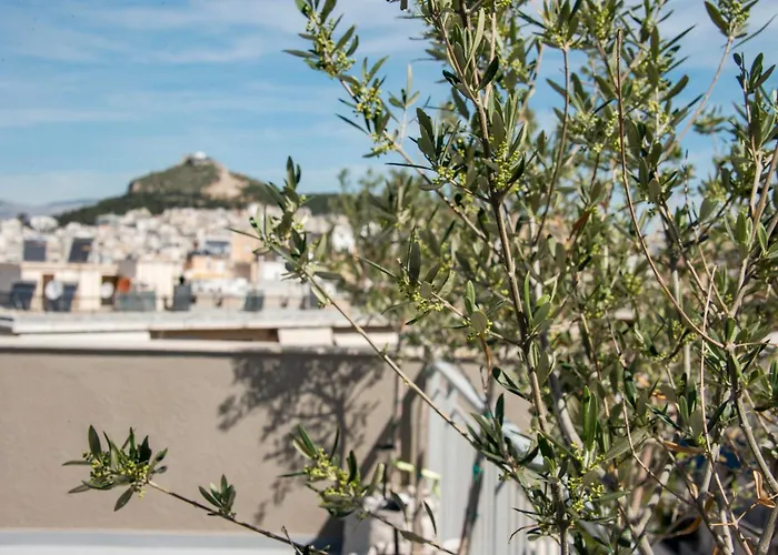 The Athenian Oasis