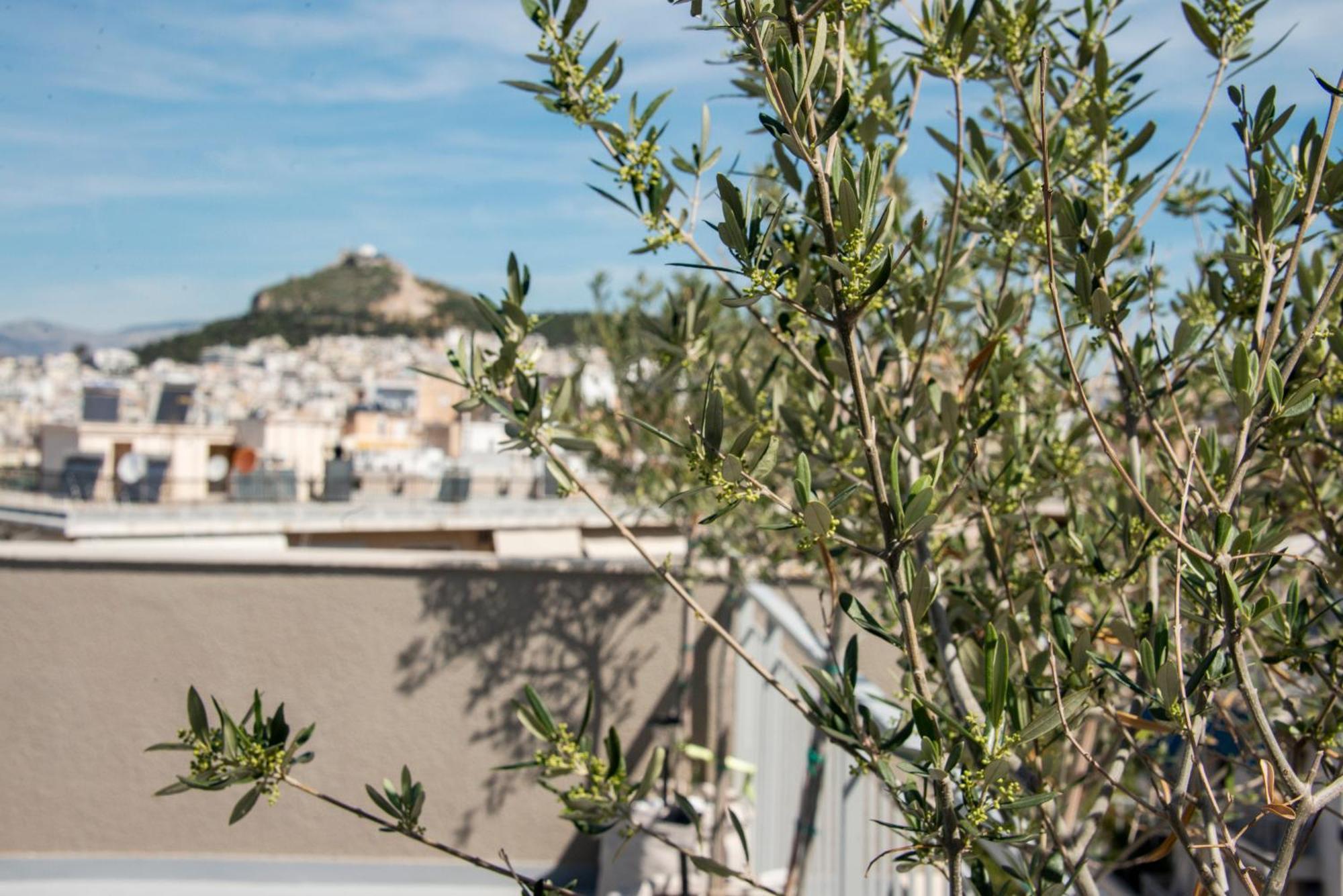 Apartment The Athenian Oasis