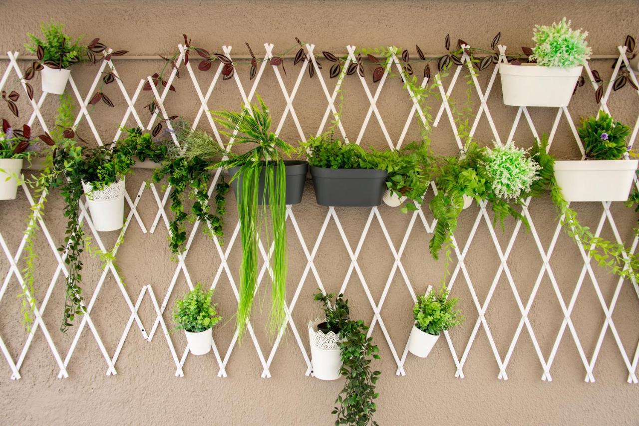The Athenian Oasis Apartment *